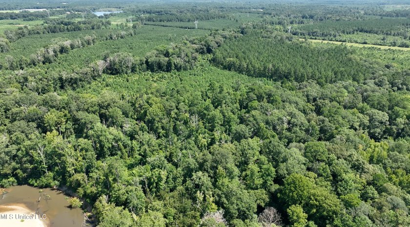 Welcome to 108+- acres in Summit, MS, located on the beautiful - photo 15