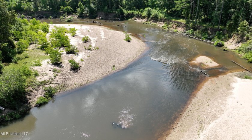 Welcome to 108+- acres in Summit, MS, located on the beautiful - photo 16