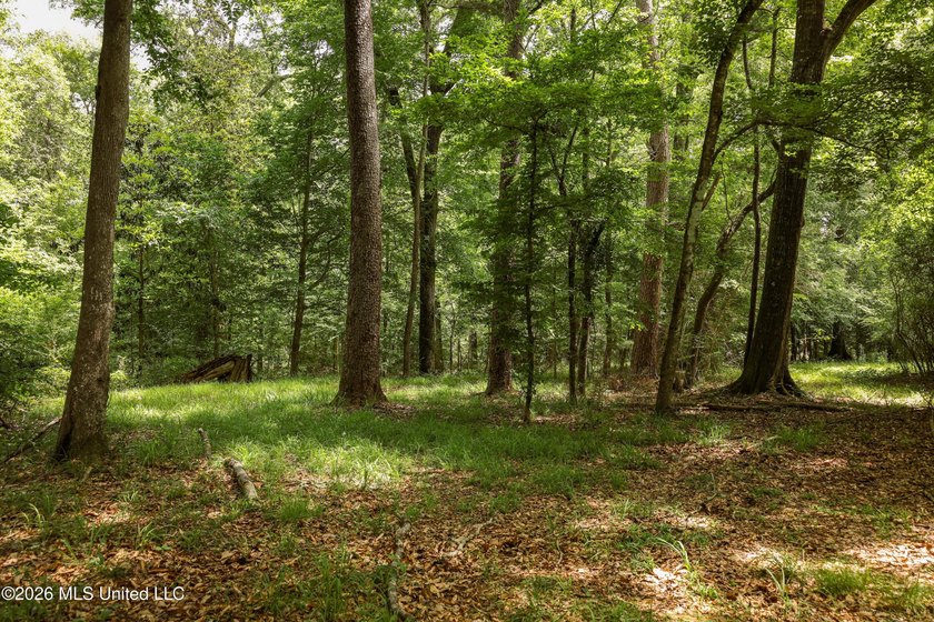 Welcome to 108+- acres in Summit, MS, located on the beautiful - photo 21