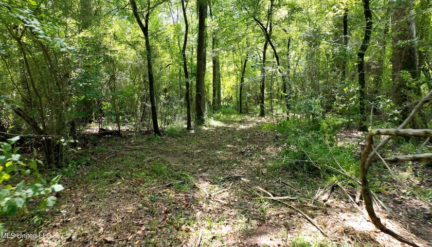Welcome to 108+- acres in Summit, MS, located on the beautiful - photo 24