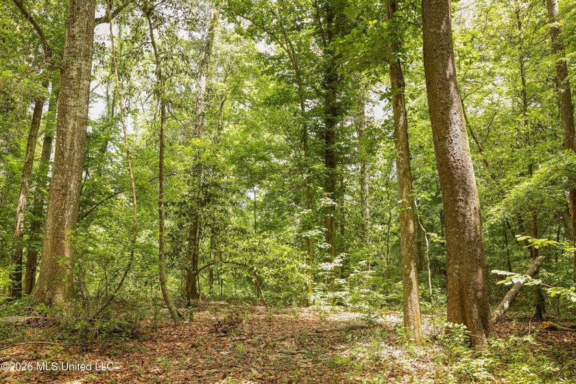 Welcome to 108+- acres in Summit, MS, located on the beautiful - photo 25