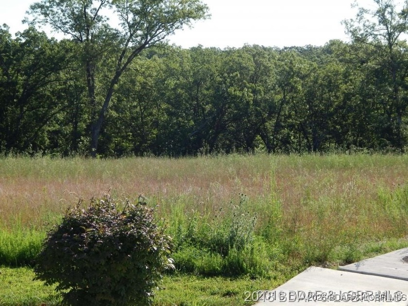 Vacant Land at Parkside Village, just off Osage Beach Parkway on - photo 2