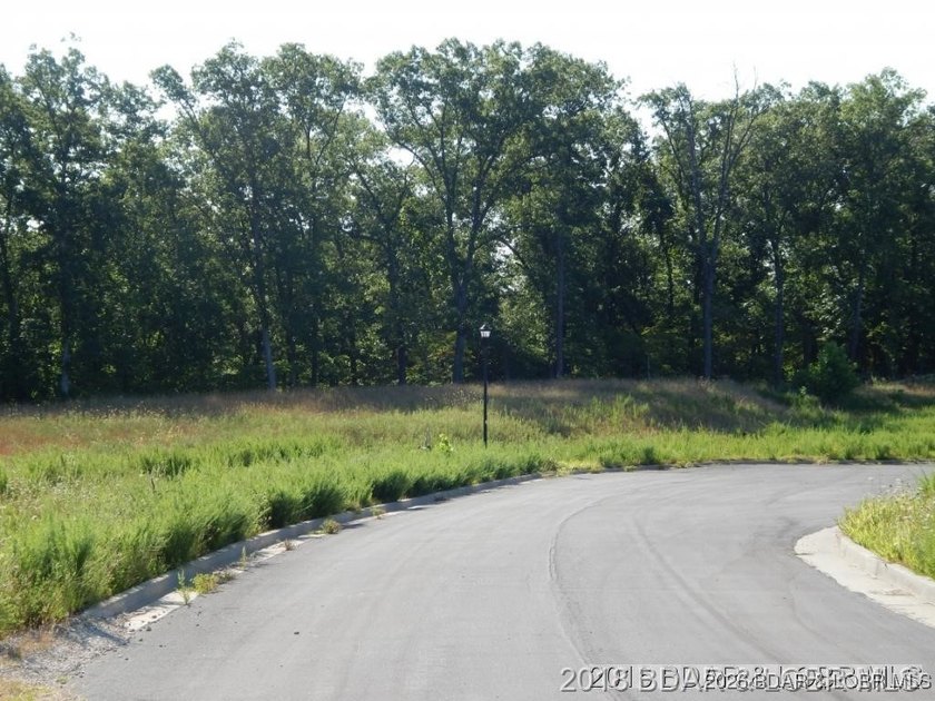 Vacant Land at Parkside Village, just off Osage Beach Parkway on - photo 4