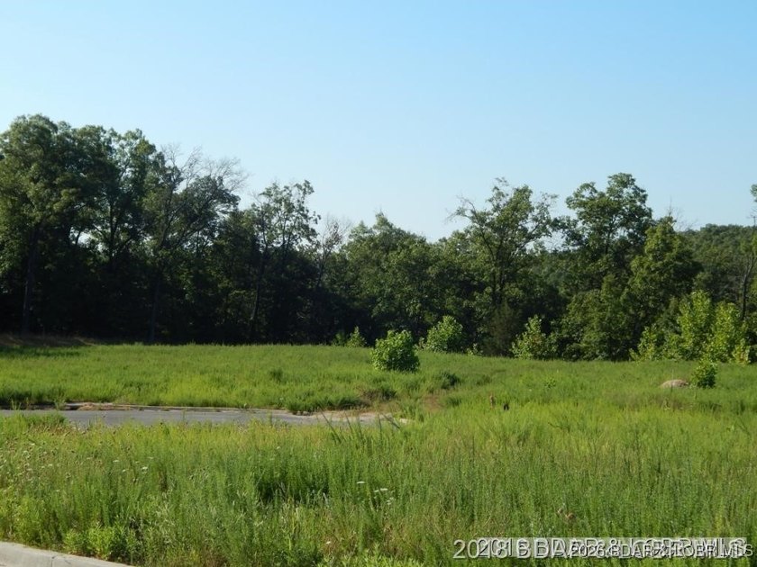 Vacant Land at Parkside Village, just off Osage Beach Parkway on - photo 9