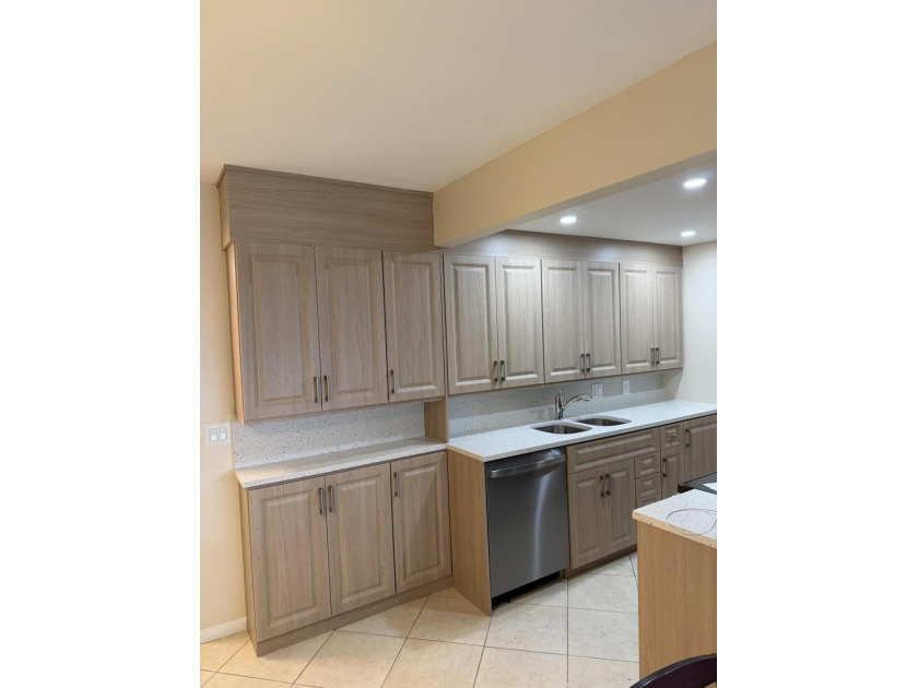 PENTHOUSE, UPGRADED KITCHEN CABINETS WITH QUARTZ COUNTERTOPS AND - photo 11