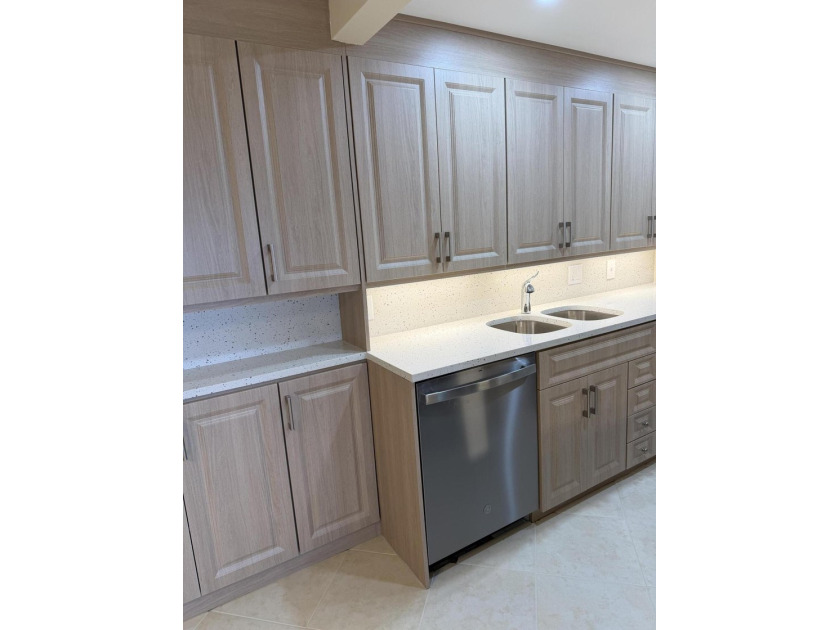 PENTHOUSE, UPGRADED KITCHEN CABINETS WITH QUARTZ COUNTERTOPS AND - photo 14