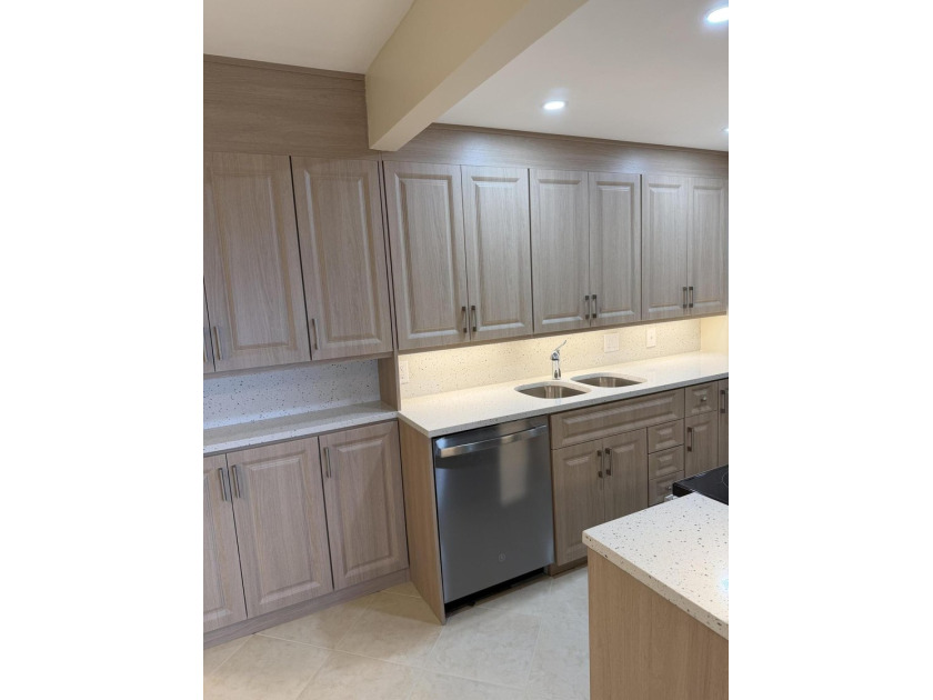 PENTHOUSE, UPGRADED KITCHEN CABINETS WITH QUARTZ COUNTERTOPS AND - photo 15