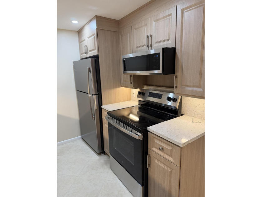 PENTHOUSE, UPGRADED KITCHEN CABINETS WITH QUARTZ COUNTERTOPS AND - photo 16