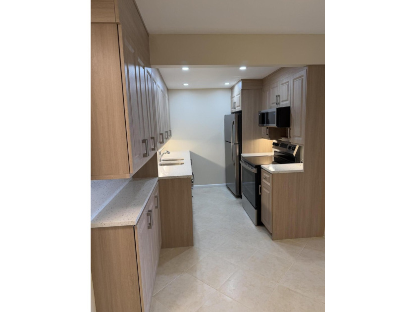 PENTHOUSE, UPGRADED KITCHEN CABINETS WITH QUARTZ COUNTERTOPS AND - photo 18