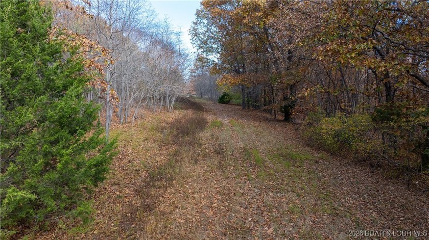 Interested in having BOTH acreage AND lake? This property - photo 3