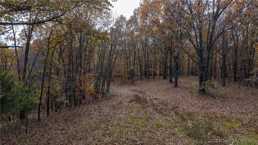 Interested in having BOTH acreage AND lake? This property - photo 4