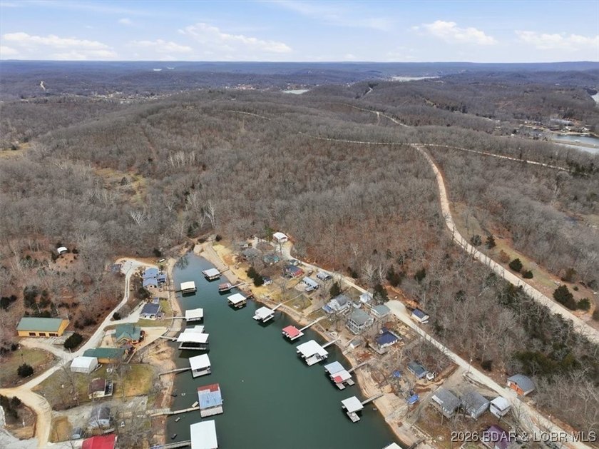 Interested in having BOTH acreage AND lake? This property - photo 6