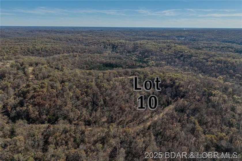 Forest Trails Rd lot: 10 - photo 3