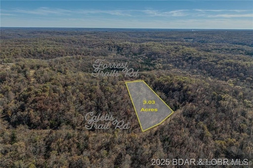 Forest Trails Rd lot: 10 - photo 4
