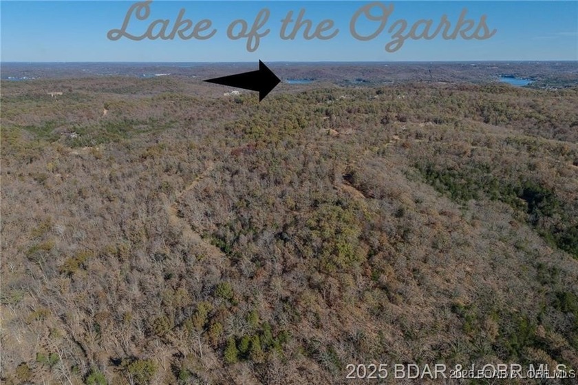 Forest Trails Rd lot: 10 - photo 6