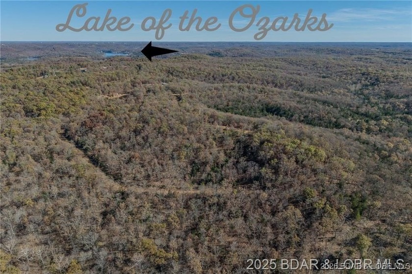 Forest Trails Rd lot: 10 - photo 7