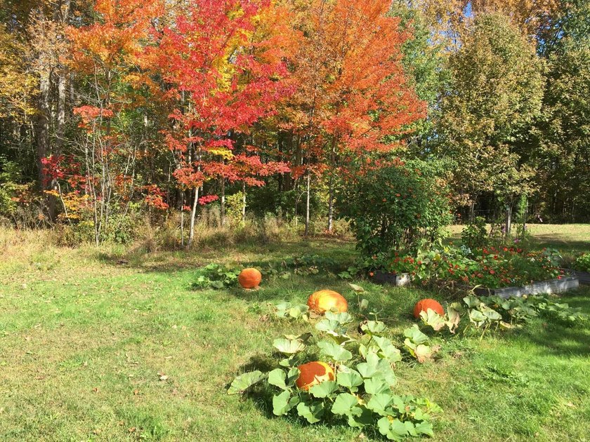 LAKE SENNEBEC FARM. Have you ever thought about giving your kids - photo 23