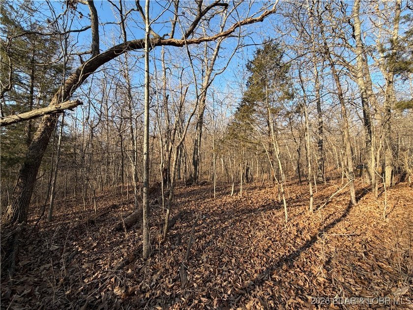Lake view lot at Lake of the Ozarks! 4.69 acres affords for room - photo 3