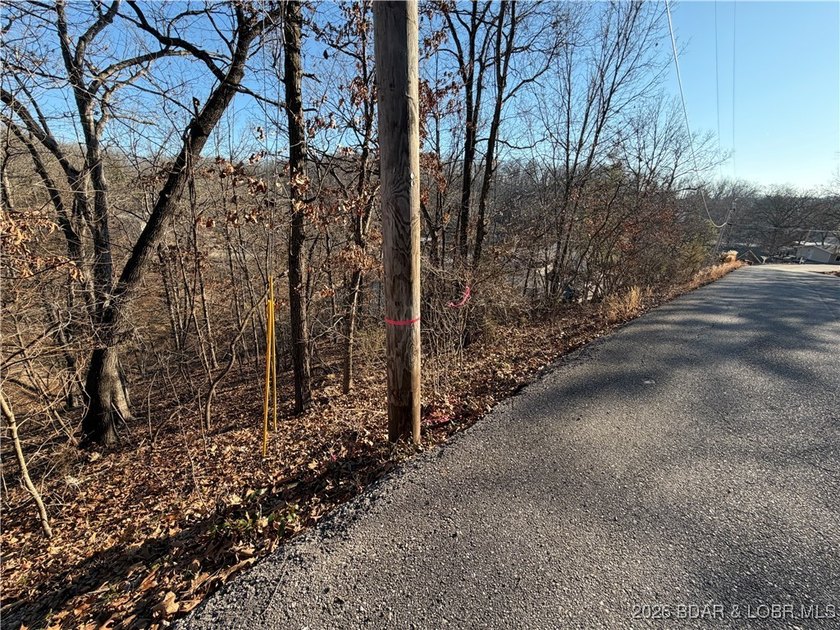 Check out this Lakefront lot at an unbeatable price! This rare - photo 3