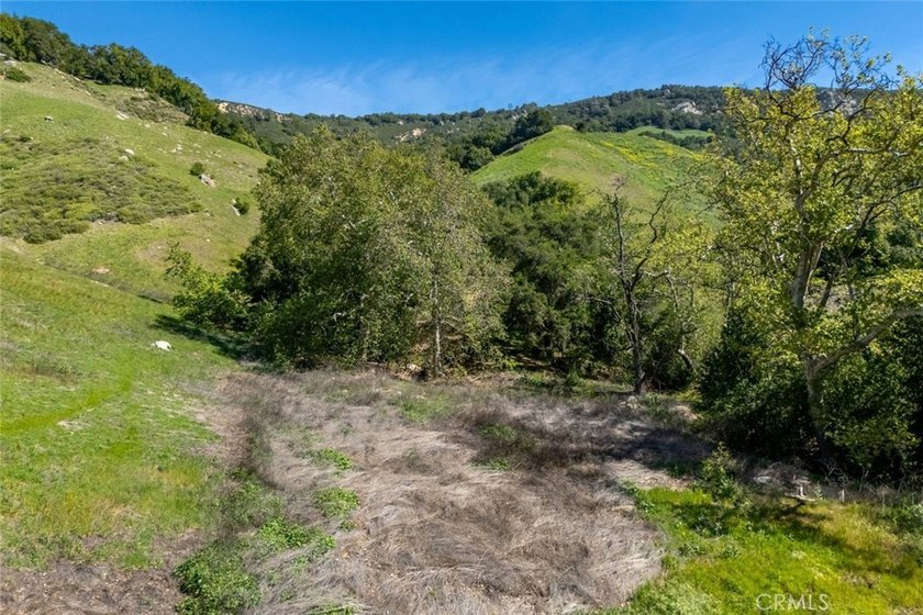 Rancho Santa Rosa offers 306+/- acres of usable Central Coast - photo 22