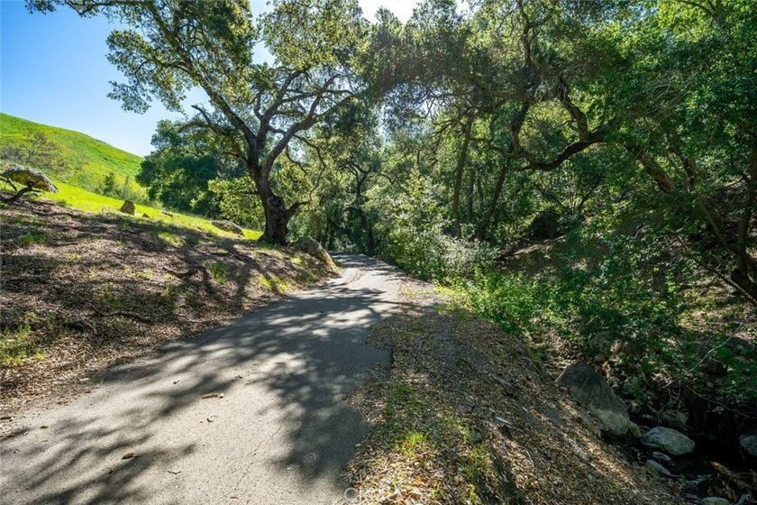 Rancho Santa Rosa offers 306+/- acres of usable Central Coast - photo 23