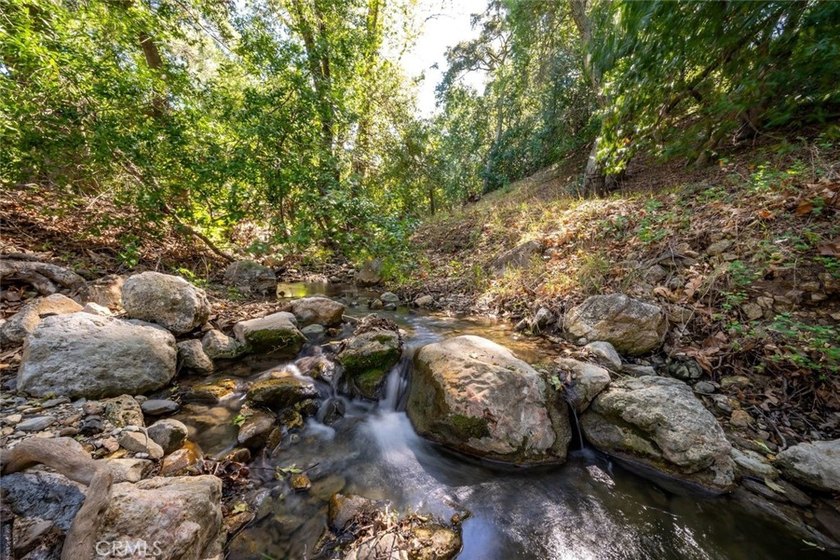 Rancho Santa Rosa offers 306+/- acres of usable Central Coast - photo 24