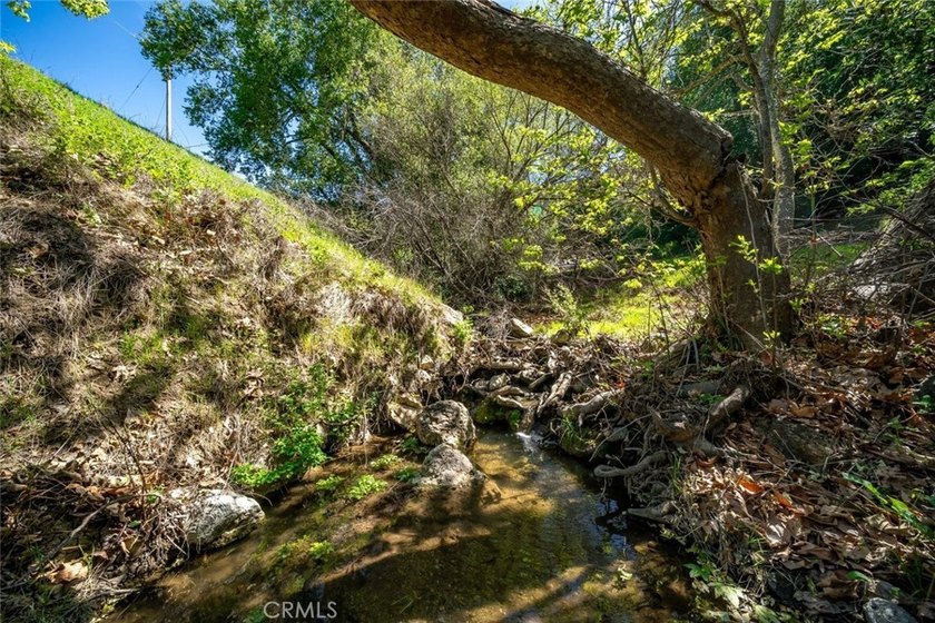 Rancho Santa Rosa offers 306+/- acres of usable Central Coast - photo 25