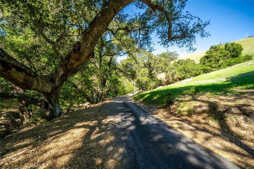Rancho Santa Rosa offers 306+/- acres of usable Central Coast - photo 26