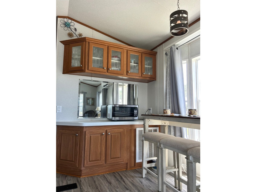 ADORABLE PARK MODEL with vinyl plank flooring, tinted windows - photo 7