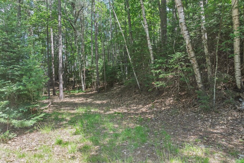 Versatility meets one of Eagle River's best-kept lakefront - photo 29