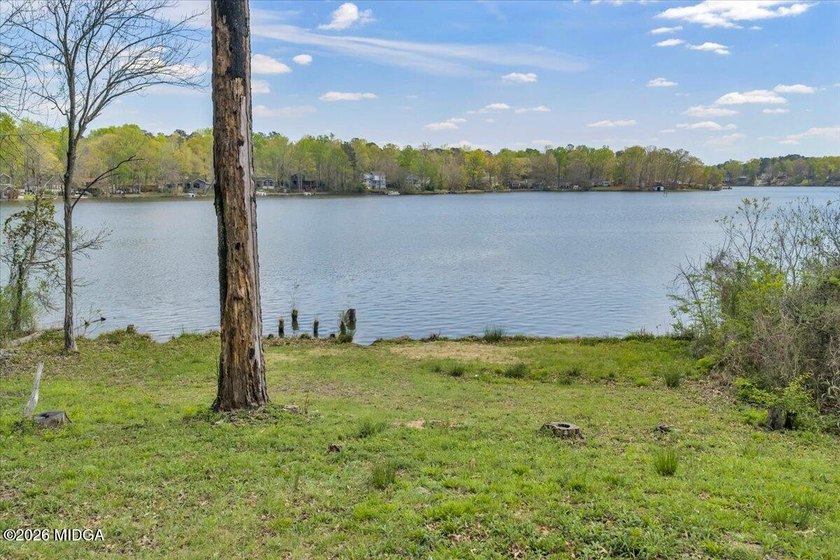 Discover a rare opportunity to own a premier lakefront homesite - photo 5