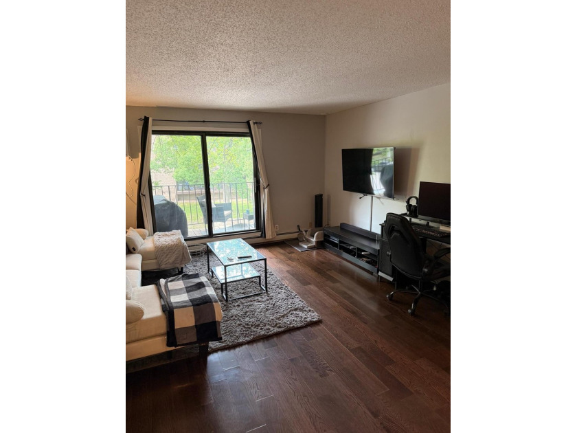 Stunning, updated 2 bed 2 bath condo in superb Minnetonka - photo 3