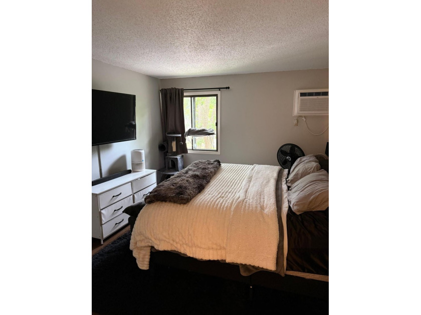 Stunning, updated 2 bed 2 bath condo in superb Minnetonka - photo 9