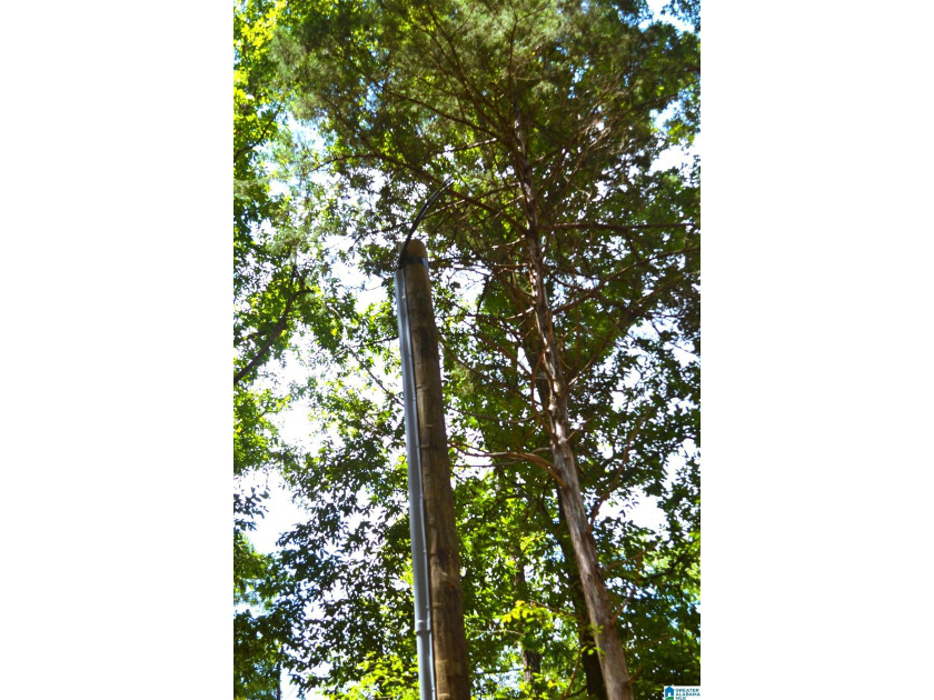 Approximately 3 acres on the North River in The Retreat at - photo 12