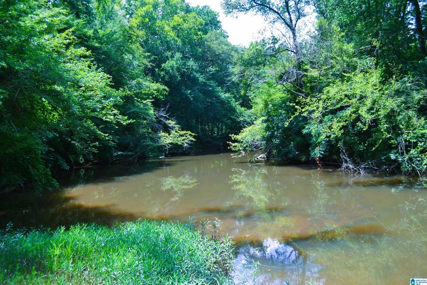 Approximately 3 acres on the North River in The Retreat at - photo 17