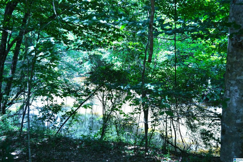 Approximately 3 acres on the North River in The Retreat at - photo 19