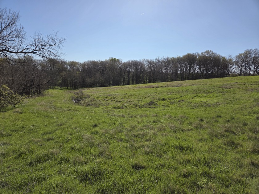 Build Your Dream on 3 Acres in Barefoot Bay - photo 27
