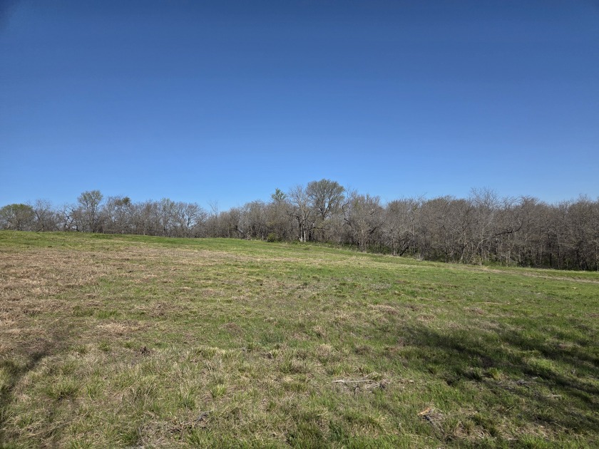 Build Your Dream on 3 Acres in Barefoot Bay - photo 31
