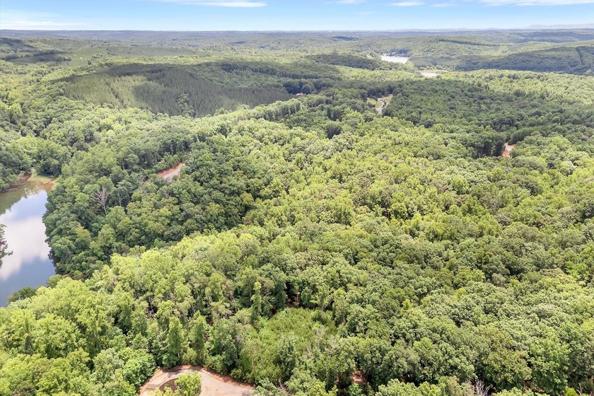 Nice Waterfront lot with 1.36 acres in beautiful Eagle Pointe - photo 16
