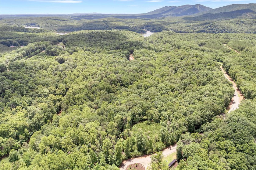 Nice Waterfront lot with 1.36 acres in beautiful Eagle Pointe - photo 18