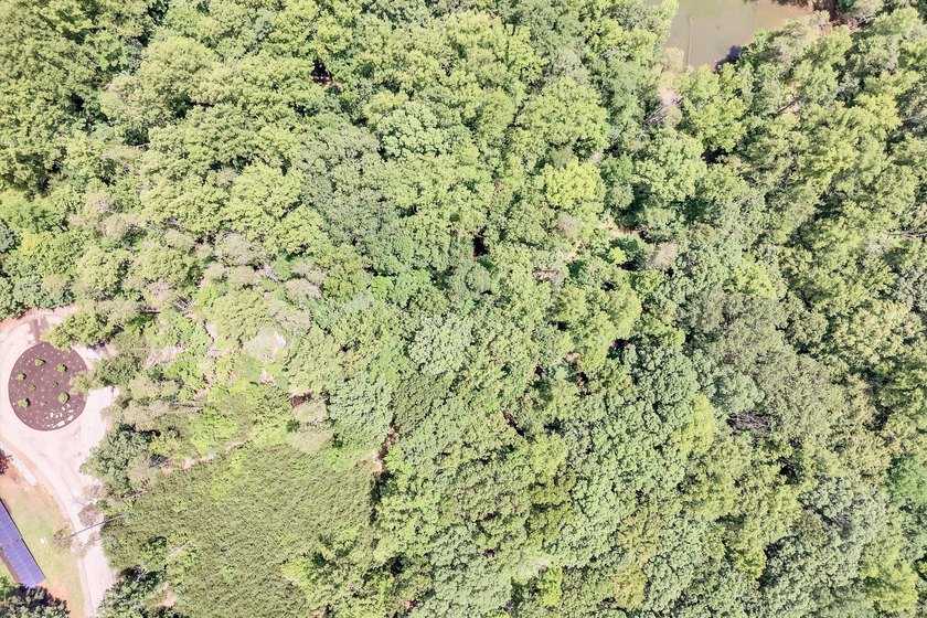 Nice Waterfront lot with 1.36 acres in beautiful Eagle Pointe - photo 26