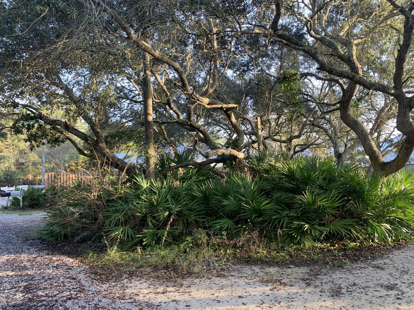 Excellent opportunity to own a lot south of 30A to build your - photo 8