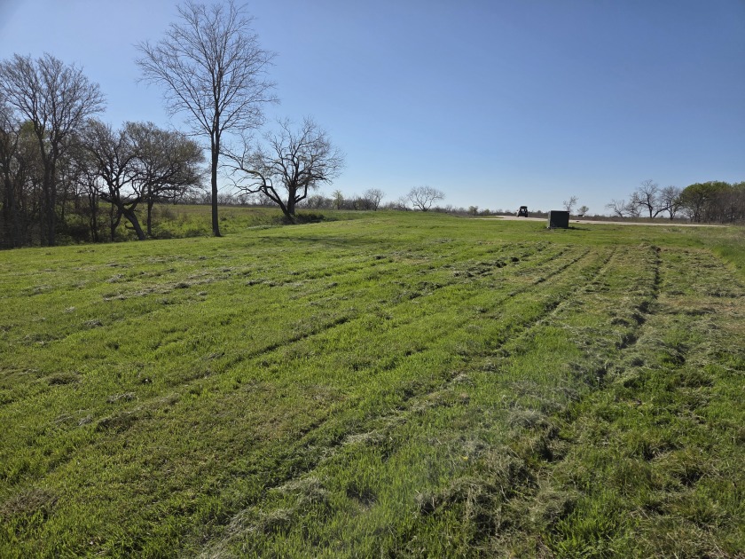 Build Your Dream on 3 Acres in Barefoot Bay - photo 23