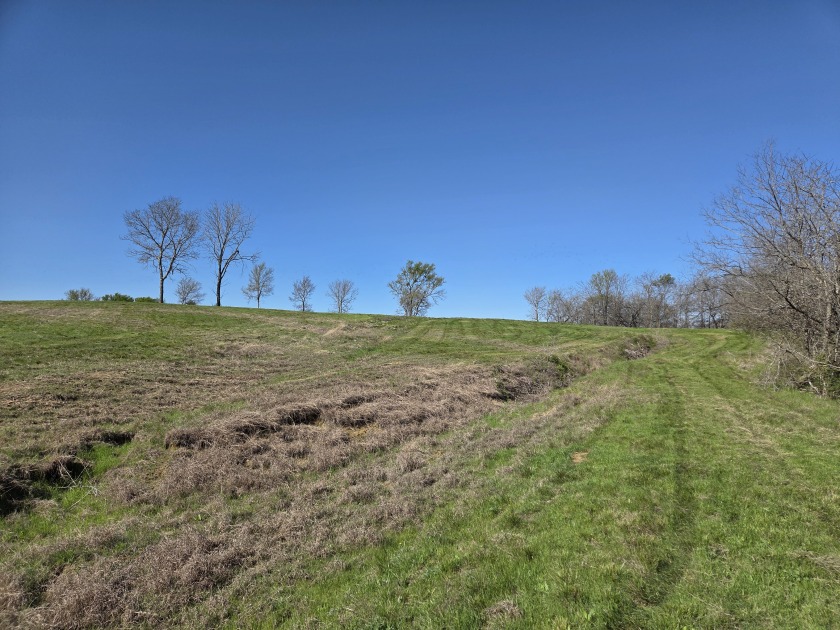 Build Your Dream on 3 Acres in Barefoot Bay - photo 30