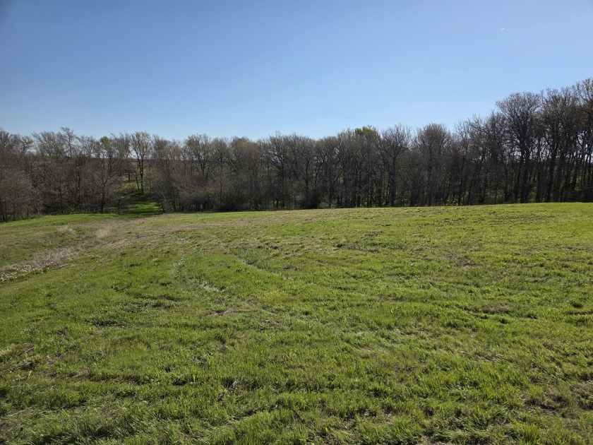 Build Your Dream on 3 Acres in Barefoot Bay - photo 25