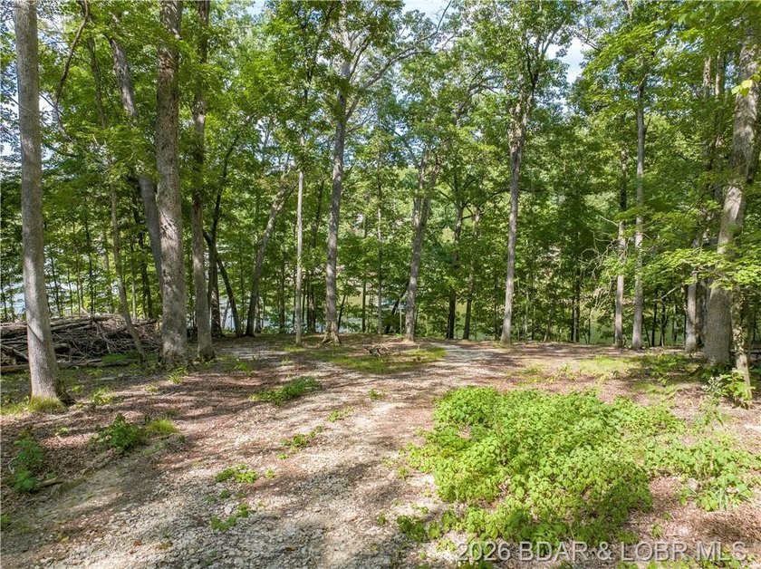 !.6 acres on beautiful Lake of the Ozarks. Gentle sloping lot - photo 7