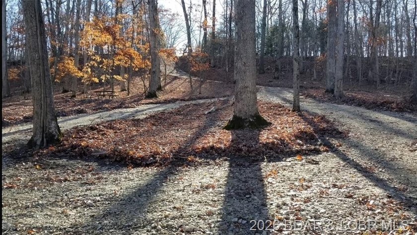 !.6 acres on beautiful Lake of the Ozarks. Gentle sloping lot - photo 9