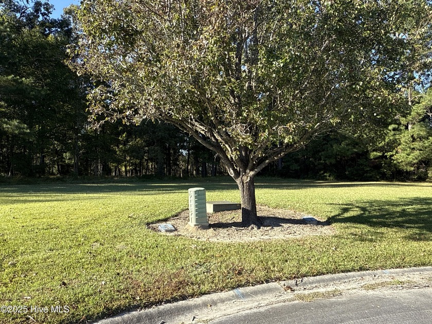Located at beautiful 338 Southern Way (Lot 61) in the desirable - photo 11