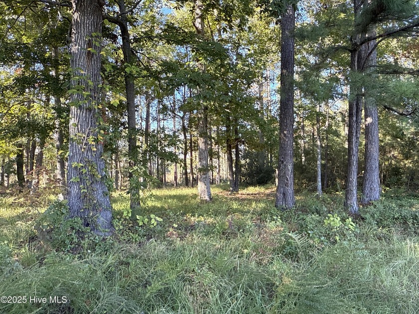 Located at beautiful 338 Southern Way (Lot 61) in the desirable - photo 13