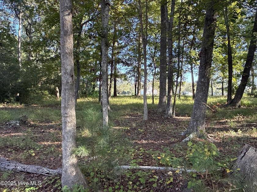 Located at beautiful 338 Southern Way (Lot 61) in the desirable - photo 15
